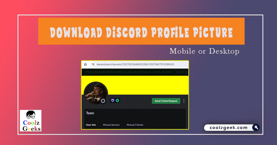 Download Discord Profile Picture